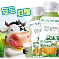 益生菌獼猴桃味復(fù)合果味飲品340ml