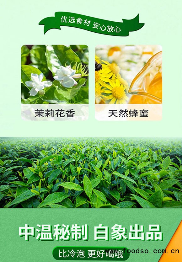 河南白象飲品有限公司-綠茶