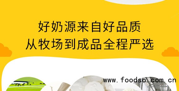 泰安意美食品有限公司_05