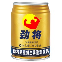 勁將能量維生素運(yùn)動飲料250mlx24罐