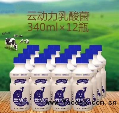 云動力乳酸菌飲品發(fā)酵乳飲料