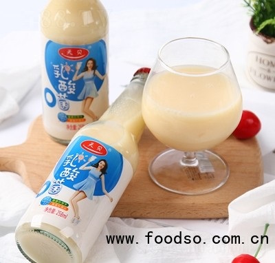 天貝乳酸菌飲品258ml招商代理批發(fā)