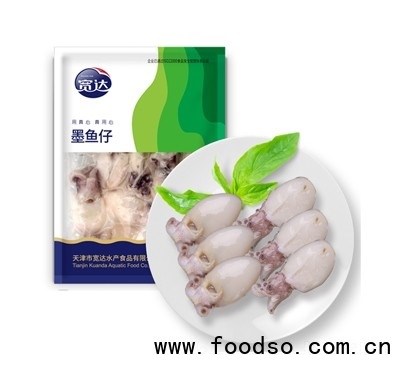 寬達(dá)墨魚(yú)仔220g速凍食品招商代理