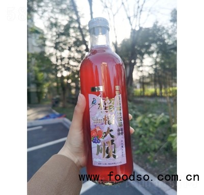 緣如玉葡萄燉石榴汁果汁飲料夏季冷飲招商818ml