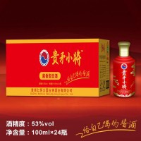 貴矛小將53度白酒 箱裝100mlx24瓶