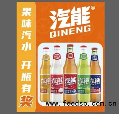 汽能果味汽水碳酸飲料550ml