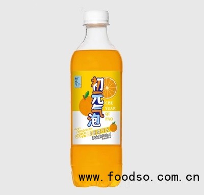 初元氣卡曼橘味汽水500ml